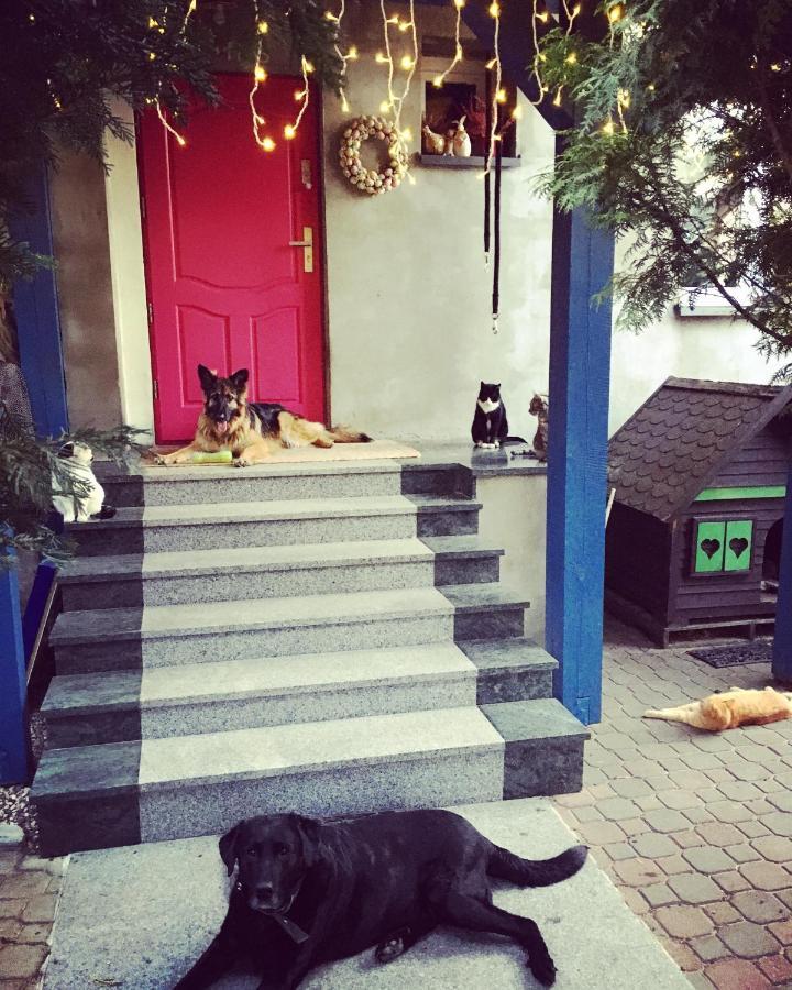 Villa Cat Stone Pisz Exterior foto